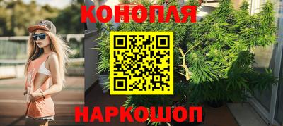 прущие крисы Ставрополь