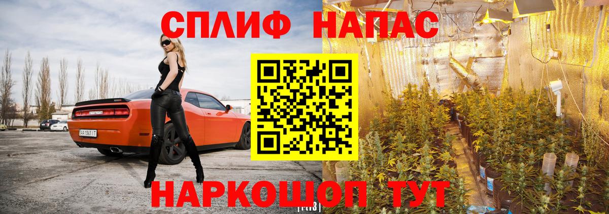 Энгельс  Каннабис индика  Шишки марихуана SATIVA & INDICA  Вход с VPN 
